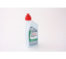 Castrol Olie Outboard 2T 