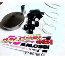 Malossi MHR Variateur Piaggio Oud model 16x13 Rollen